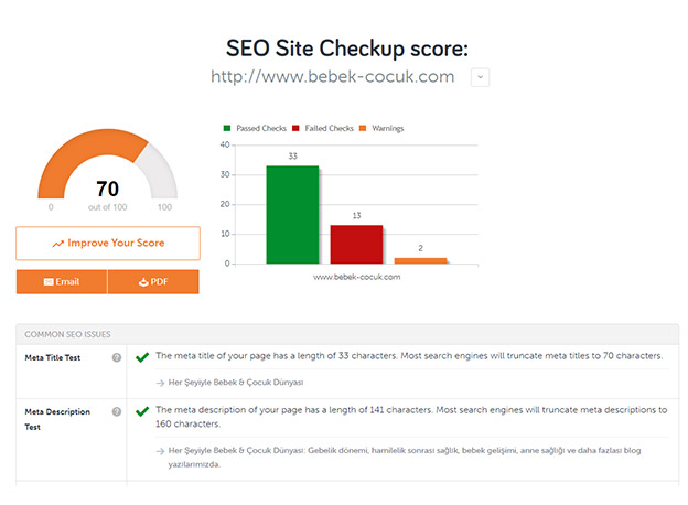 Sitenizin SEO Kontrollerini Yapıyoruz